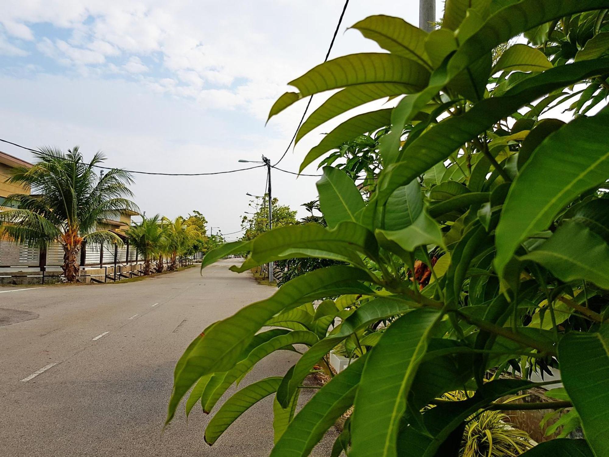 Siantan In Paya Rumput Near Std Hang Jebat, Sg Udang & Uitm Lendu Malacca Exteriör bild